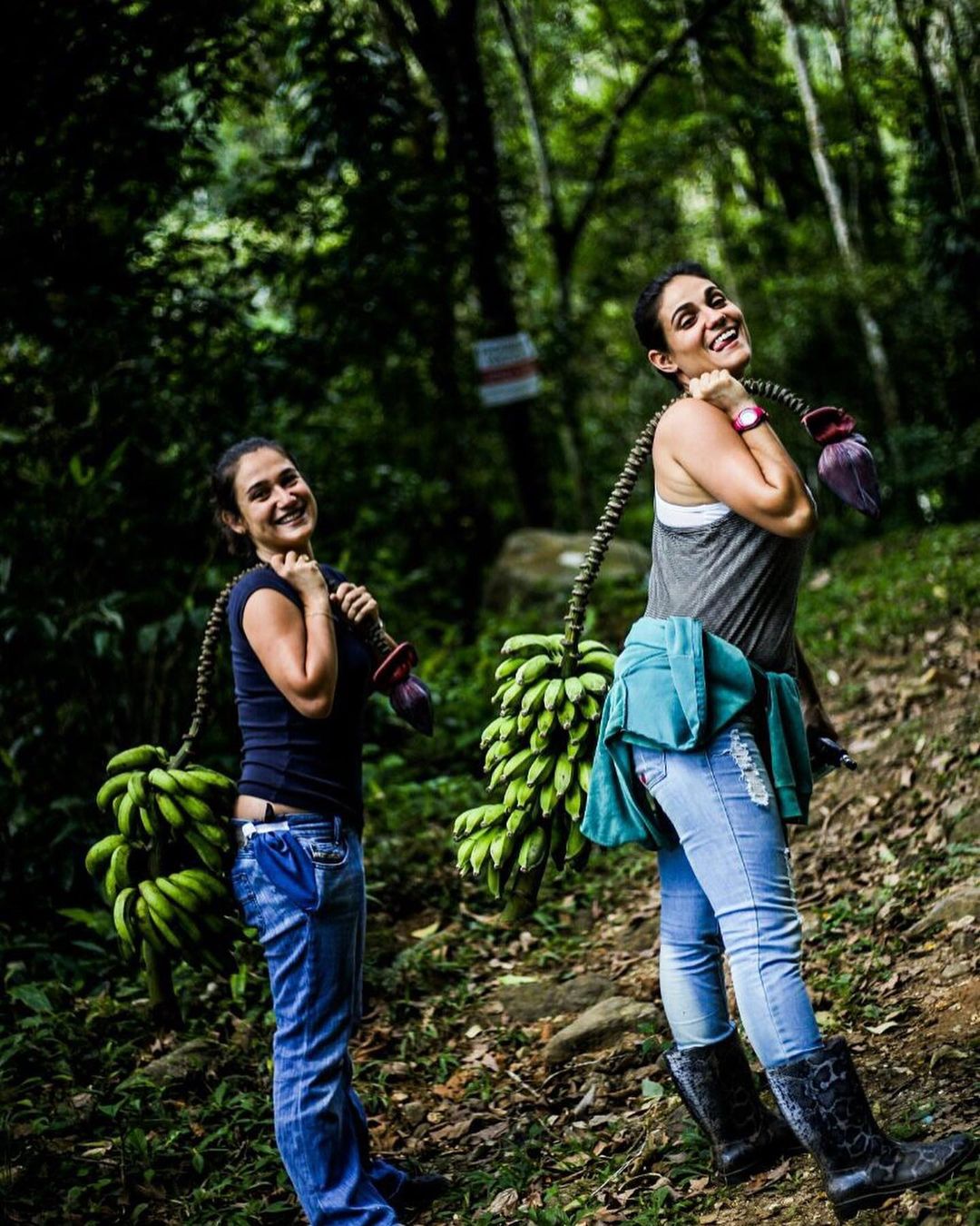 Reserva Botânica de Águas Claras – membro – Circuito EcoRural de Silva Jardim-RJ Reserva Botânica de Águas Claras - membro - Circuito EcoRural de Silva Jardim-RJ